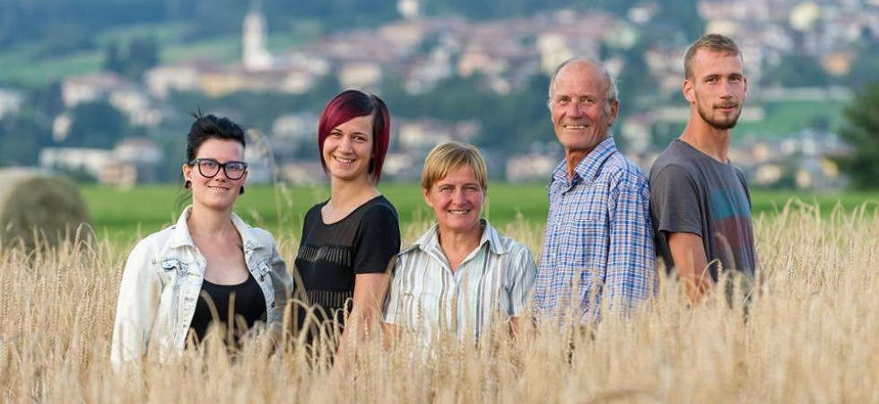 Foto Bruno Battocletti Non solo mele, grazie alla scommessa 'nostalgica' della famiglia Pizzini i cereali sono tornati in Val di Non